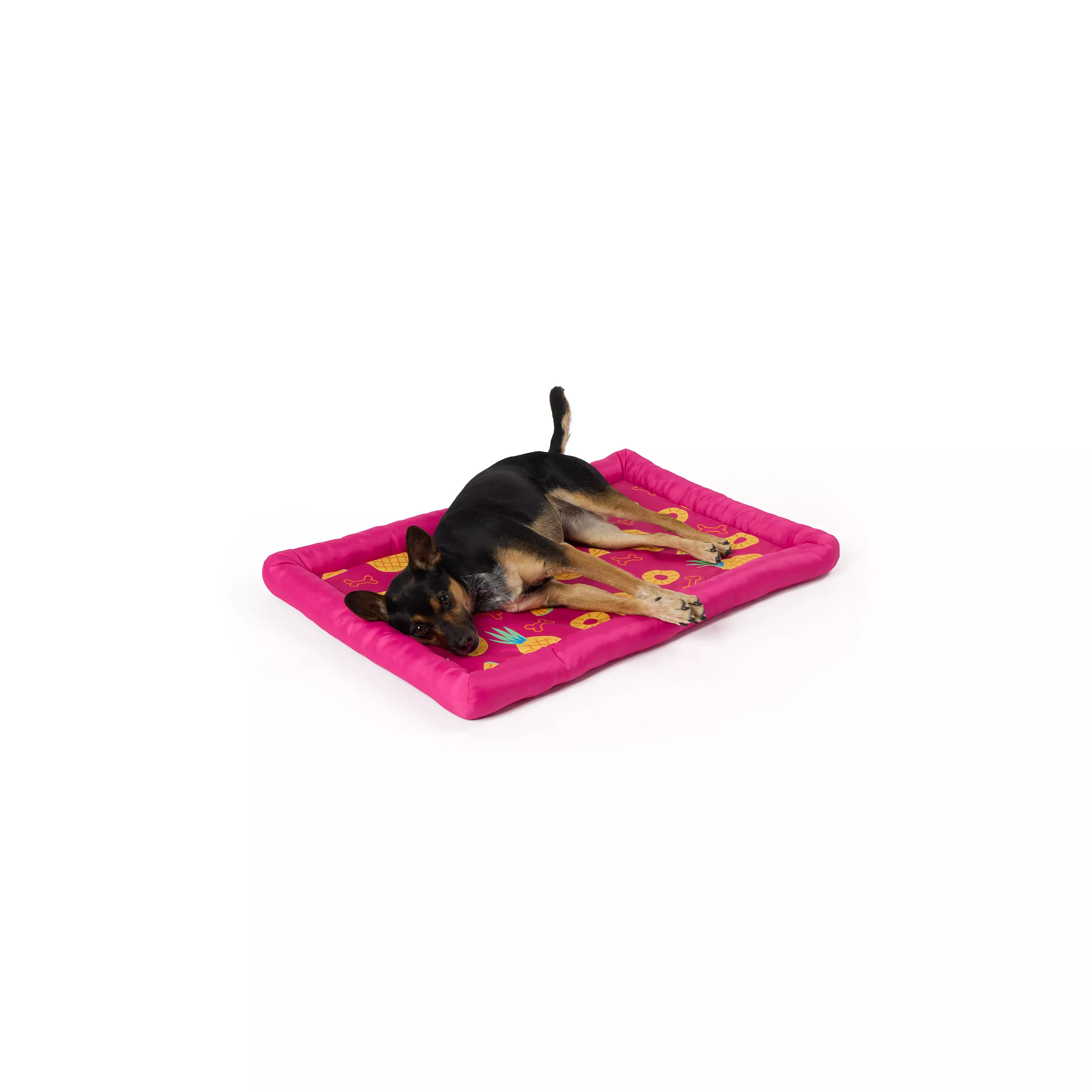 Top Paw® Pineapple Cooling Bolster Mat | PetSmart