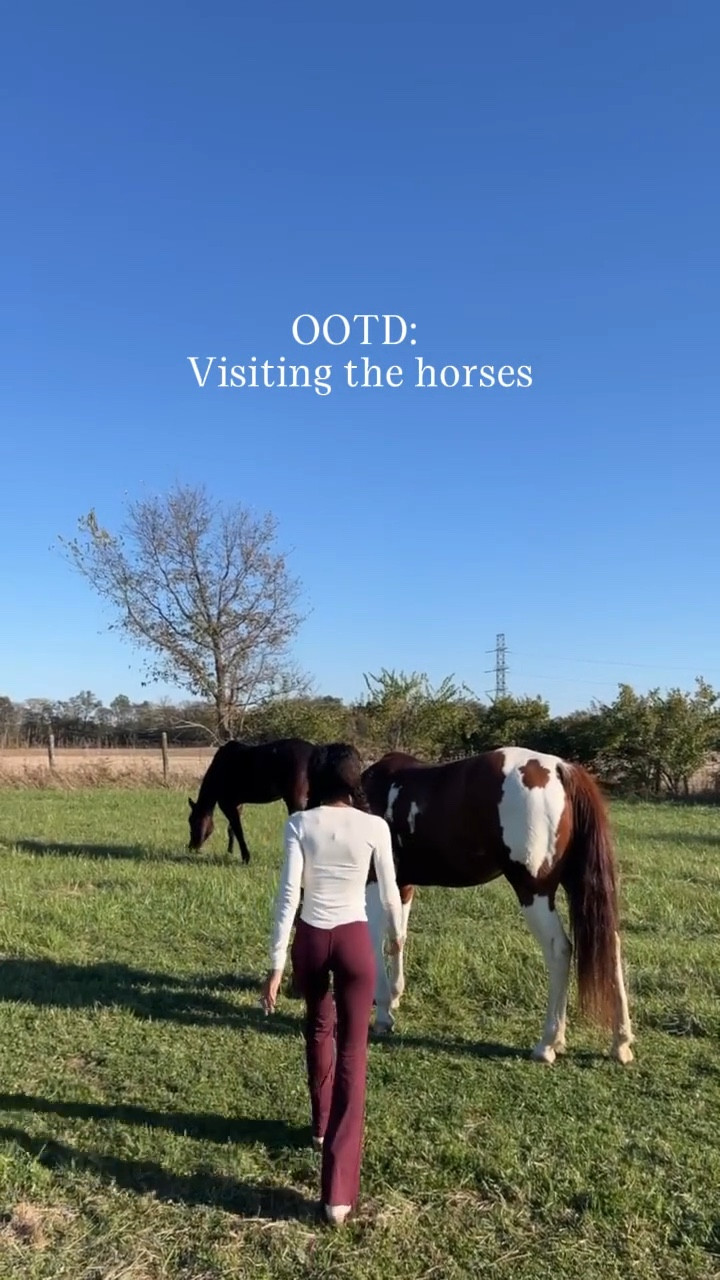 Casual fall outfit for visiting the horses 🐴🤎 Wearing my favorite Lululemon Align dupe leggings — they feel just like the real thing but are WAY MORE affordable, and they’re on sale for Black Friday right now for under $25!!
• I linked all the other colors I have because you guys keep loving these, too. Manifesting that Target drops even more colors soon because these leggings are TOO good. 🫶🏽

#LTKCyberWeek #LTKFindsUnder50 #LTKSaleAlert