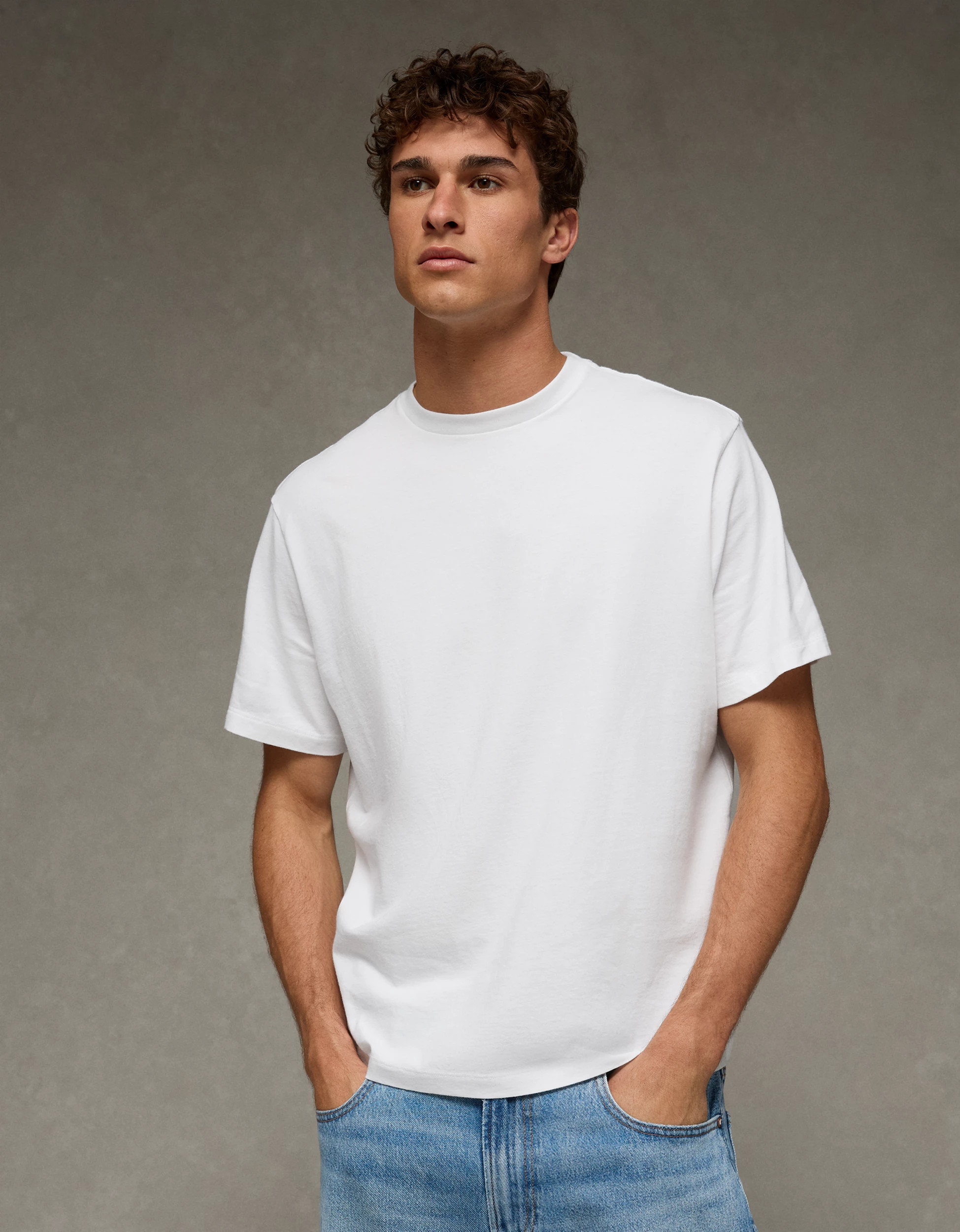 AE Standard Fit Lived-In T-Shirt | American Eagle Outfitters (US & CA)