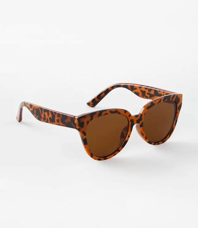 Oversized Cateye Sunglasses | LOFT