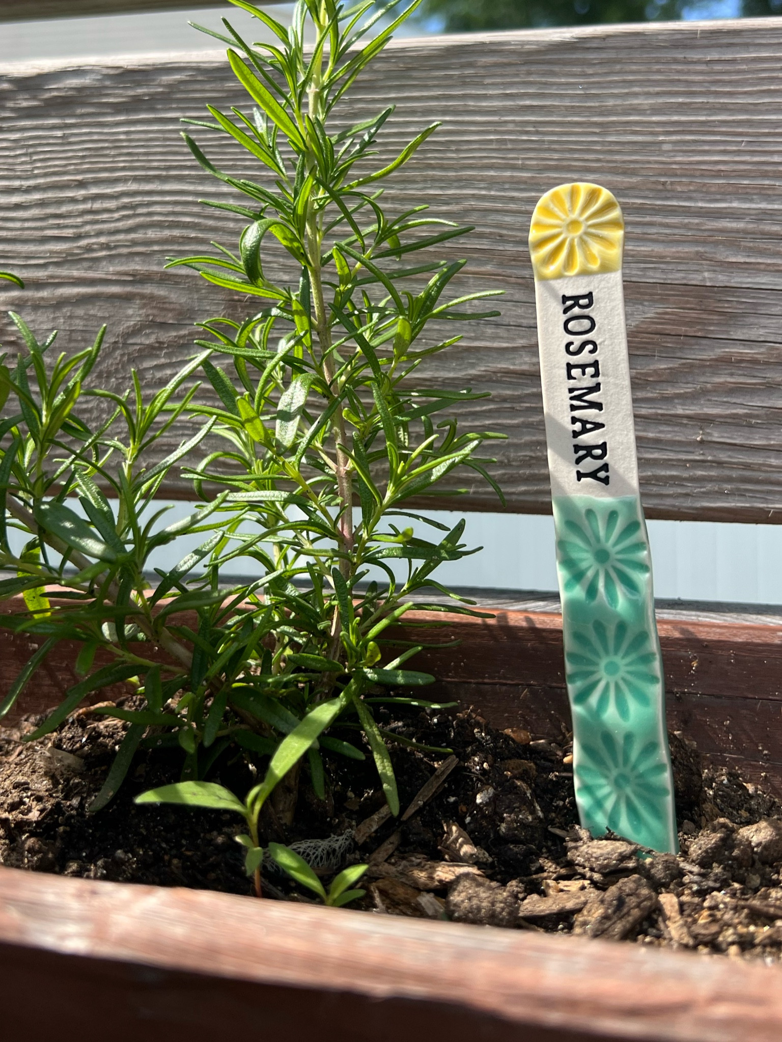 Garden planter labels 

#LTKGiftGuide #LTKFindsUnder50 #LTKSaleAlert