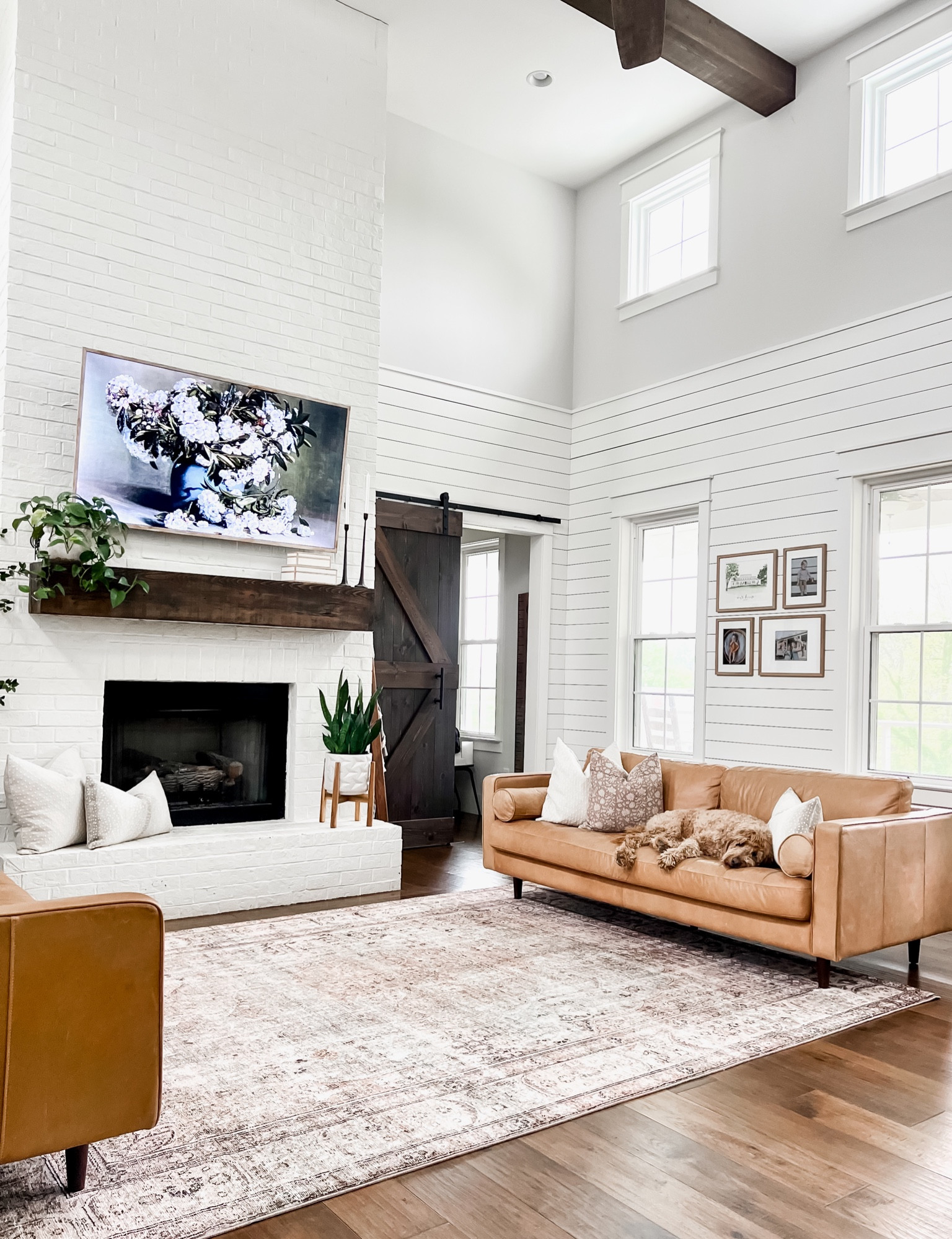 Run! This best selling cloud pile rug from Loloi is on major sale and will go fast! Margot in antique Sage living room rug decor area rug high pile and so soft sofa couch throw pillows home accents and decor spring and summer gallery wall picture frames photo frame with matte 

#LTKstyletip #LTKhome #LTKFind