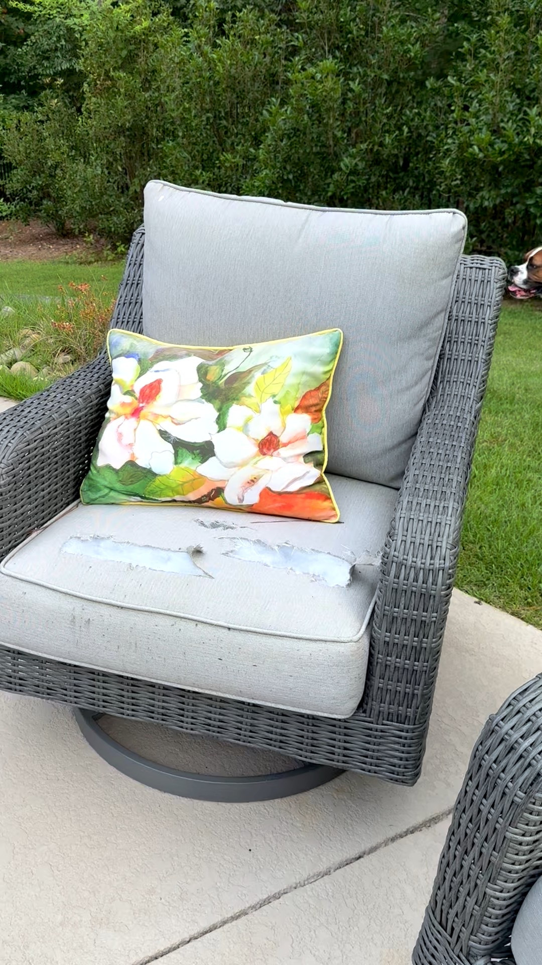 The birds and squirrels have started eating my second chair!! I will replace these cushions with the same ones I bought for the other chair!!! 

#LTKHome #LTKFamily #LTKSeasonal