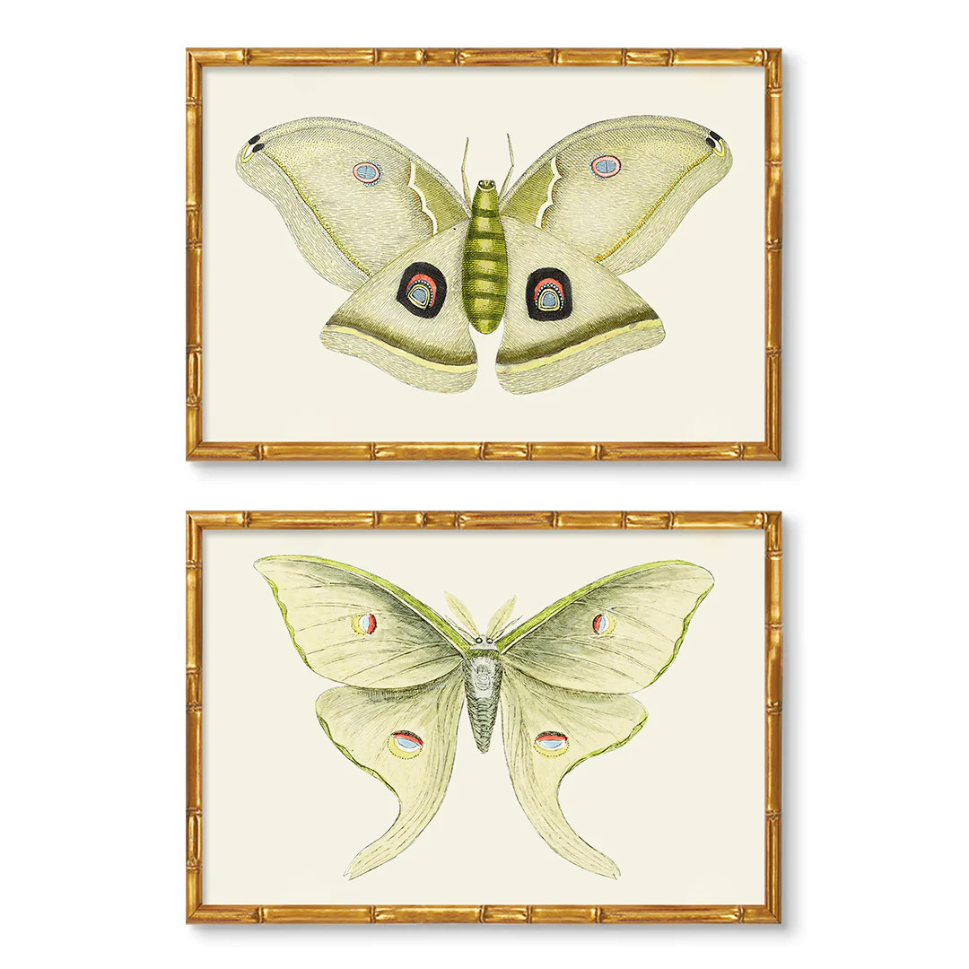 Solstice Butterfly Pair | Butterfly Art Print Collection | Urban Garden Prints