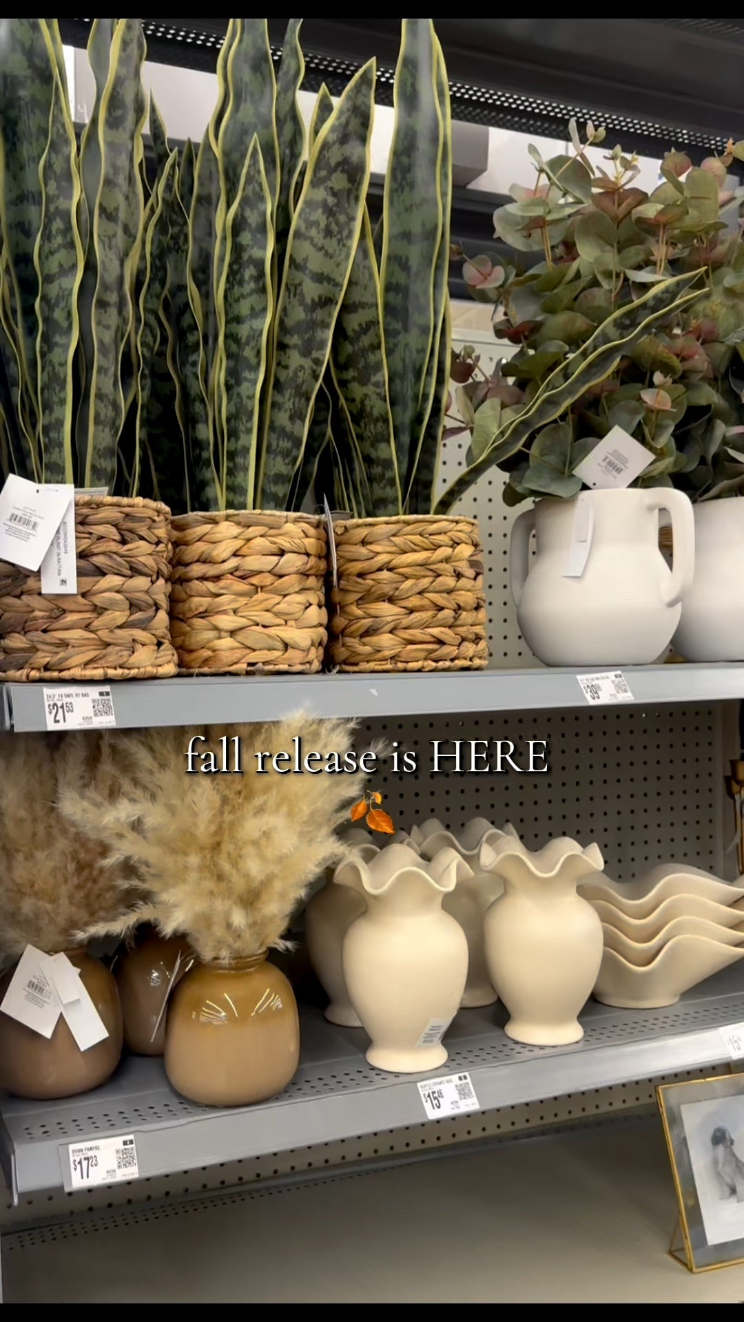 Walmart really understood the fall decor assignment this year 🍂✨ Who else is ready to cozy up their home? 🏡

#WalmartFinds #FallDecor #HomeDecorOnABudget #PotteryBarnDupe #FallVibes #DecorInspo #FallFinds 

#LTKSeasonal #LTKHome #LTKFindsUnder50