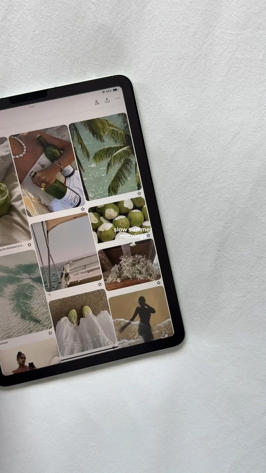 slow summer mornings 🦢
