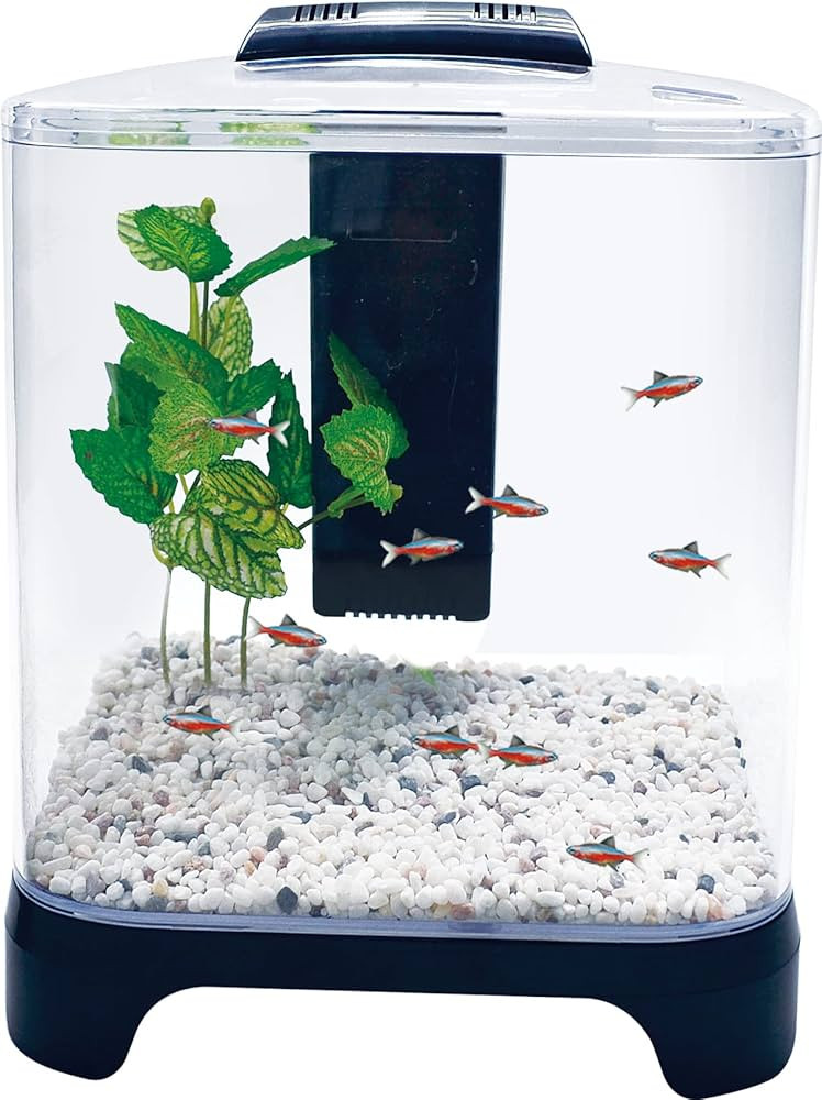 PENN-PLAX NuWave Betta Fish Tank Kit with LED Light and Internal Filter – Black – 1.5 Gallon | Amazon (US)