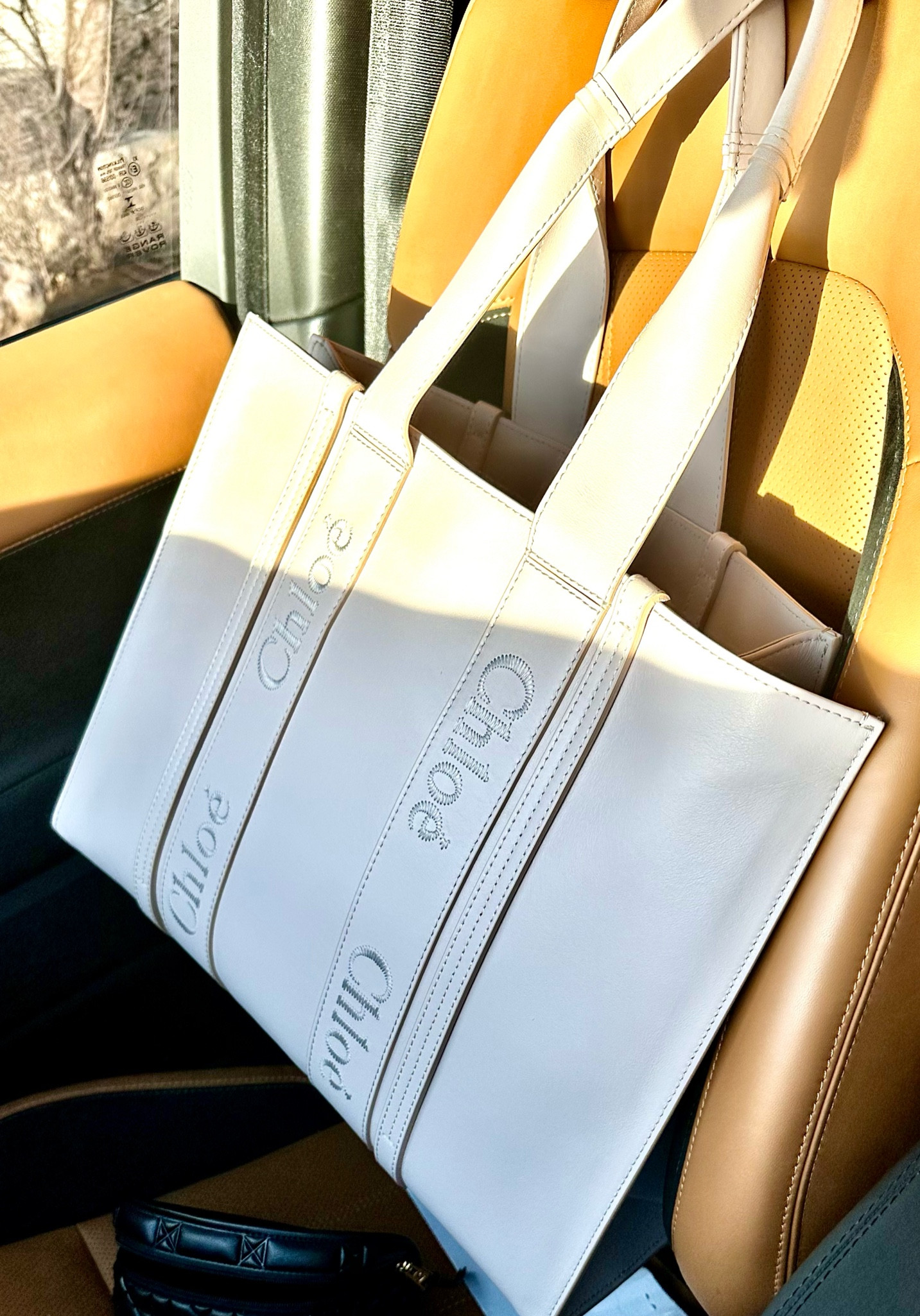 As a mom I wanted something a little more chic than the usual diaper bag. 
This is a large, color wild grey in smooth calfskin-  it’s so spacious and also a cute gym/ errand bag 🩶


#chloe # woody #tote #handbag

#LTKitbag #LTKstyletip #LTKGiftGuide