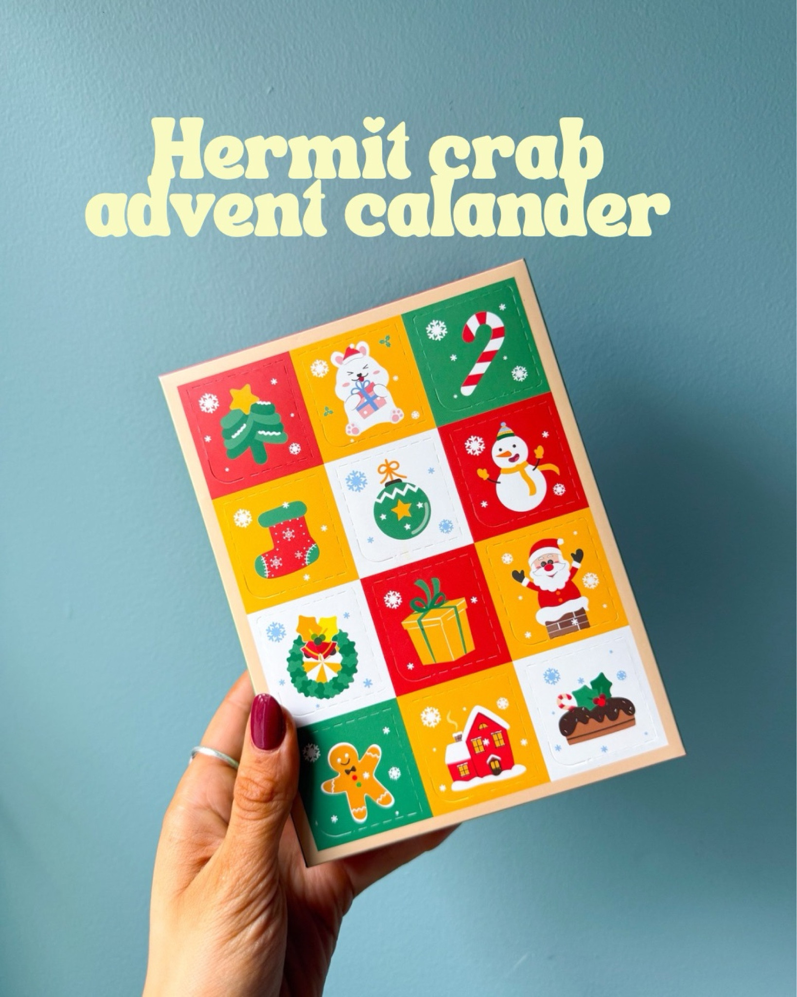 Hermit crab advent calendar! 