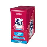 Wet Ones Antibacterial Hand Wipes, Fresh Scent Wipes | Travel Wipes Case, Antibacterial Wipes | 20 ct. Travel Size Wipes (10 pack) | Amazon (US)