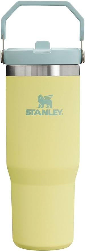 Stanley IceFlow Stainless Steel Tumbler - Vacuum Insulated Water Bottle for Home, Office or Car R... | Amazon (US)