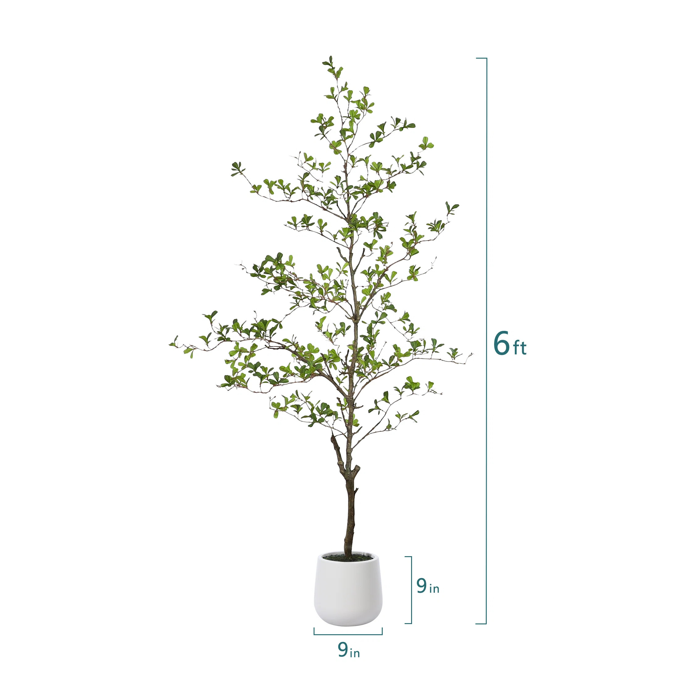 Primrue Adcock Artificial Black Olive Tree in White Pot, Tall Faux Shady Lady Tree for Indoor Hom... | Wayfair North America