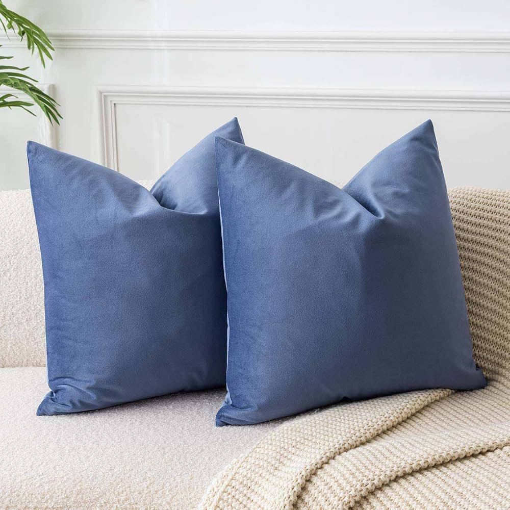 JUSPURBET Decorative Pillow Covers Set of 2 22x22 Velvet Throw Pillow Covers for Couch Sofa Bed S... | Amazon (US)
