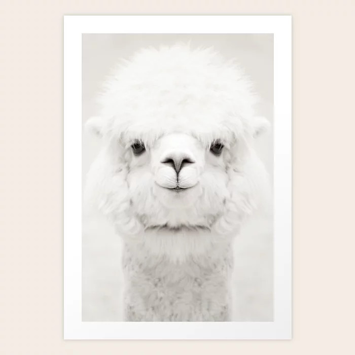 SMILING ALPACA Art Print | Society6