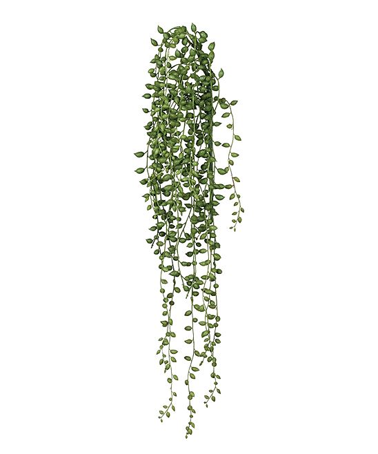 Sullivans Floral GR - Artificial String of Pearls Vine | Zulily