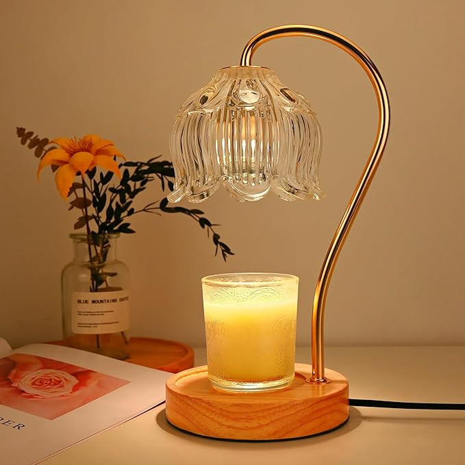 Candle Warmer Lamp,Candle Warmer lamp with Timer, Candle Warmer Light Compatible with Various Can... | Amazon (US)