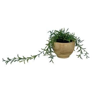 22" Green Senecio Arrangement in Wood Container by Ashland® | Michaels Stores
