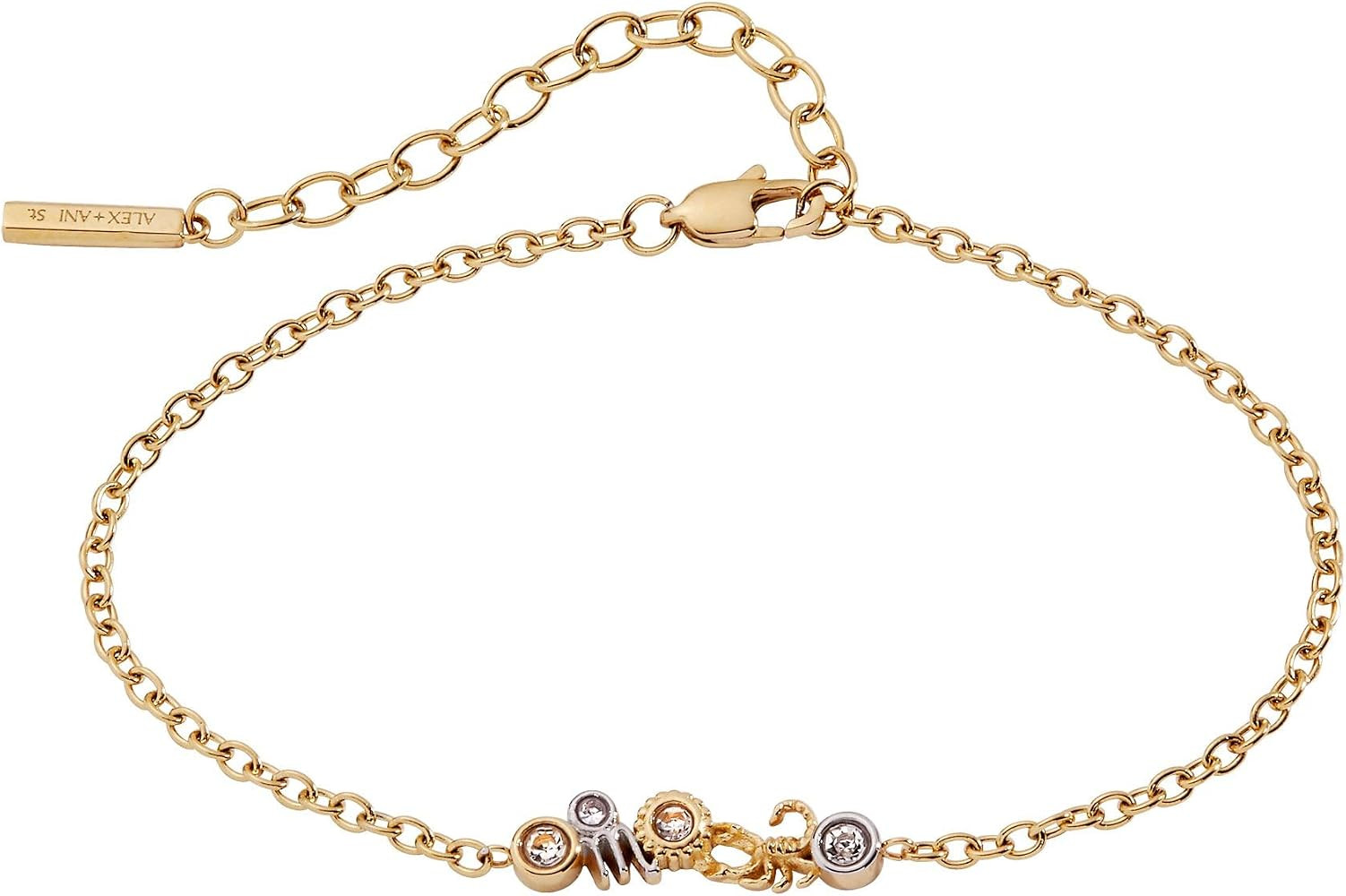 ALEX AND ANI Zodiac Bracelet - Two-Tone Stainless Steel with Clear Crystals, Nickel-Free, Zodiac ... | Amazon (US)