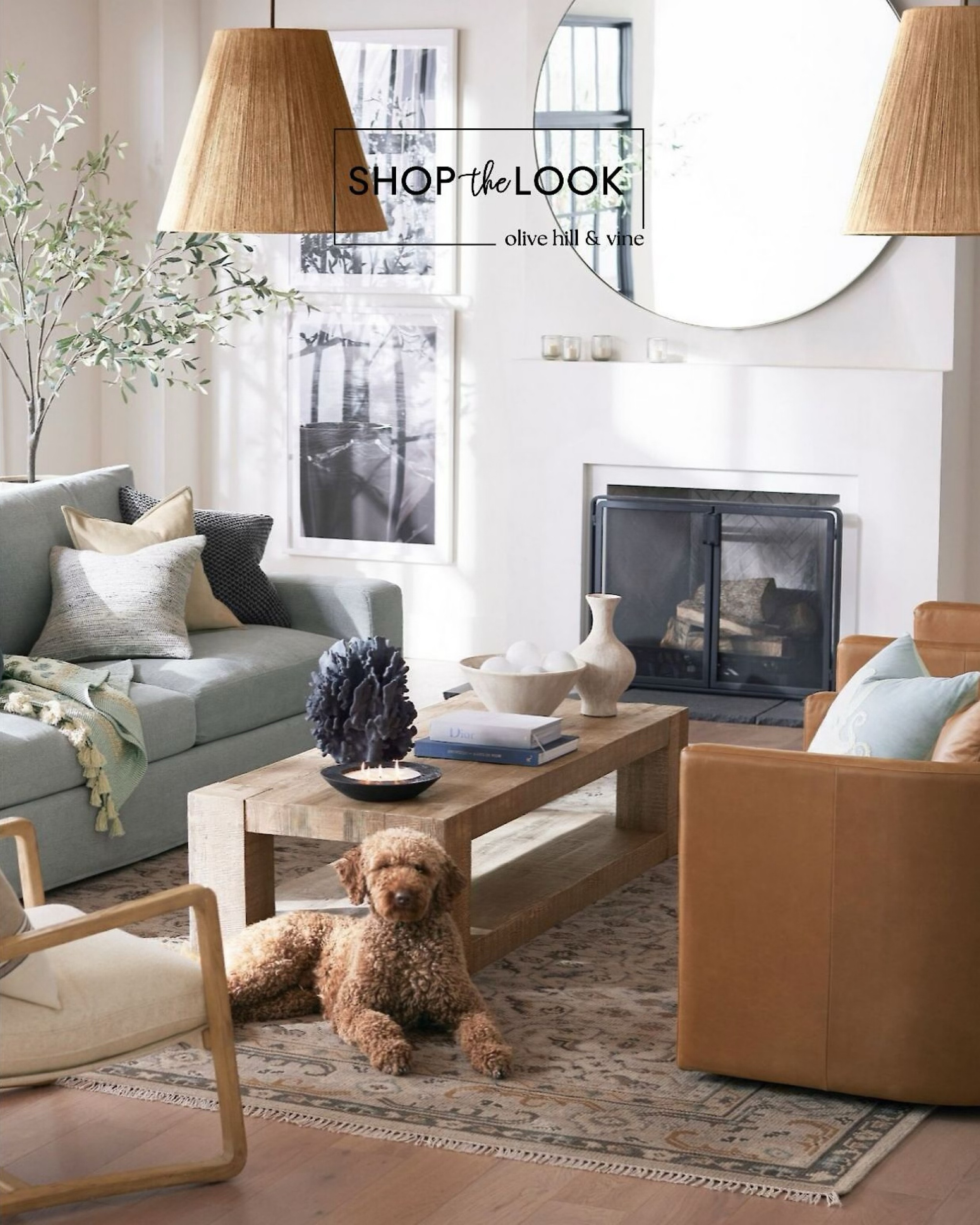 Gather around timeless charm! This living room pairs a square-arm sofa, leather swivel chairs, a reclaimed wood coffee table, and a vintage-inspired rug with artisan details—woven cone pendants, a faux olive tree, and a fluted planter complete the look. 

#LTKStyleTip #LTKFamily #LTKHome
