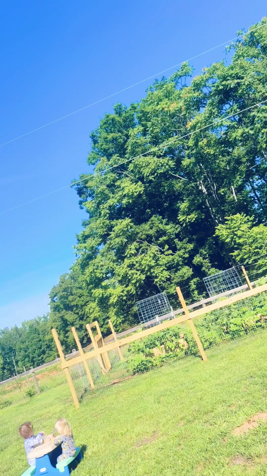 And this gorgeous summer morning ☀️ called for breakfast 🥣 outside by the garden 🪴- and saying hi 👋🏼 to the donkeys 🫏 and guineas 🌾, too!! 🌳