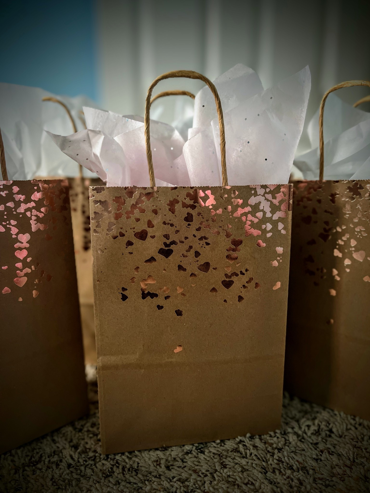 Gift bags 

#LTKGiftGuide #LTKHome
