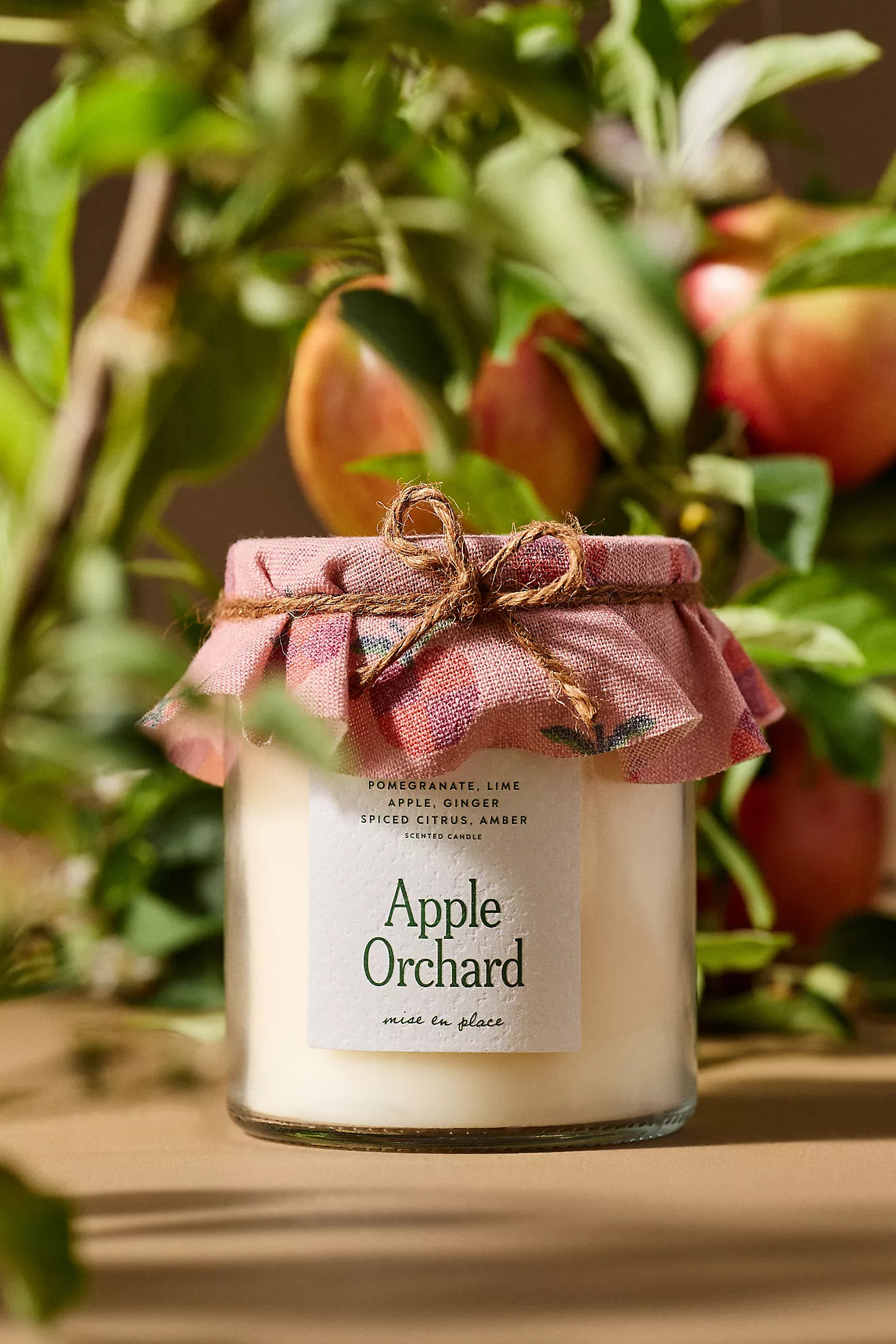 mise en place Fruity Apple Orchard Lidded Glass Candle | Anthropologie (US)