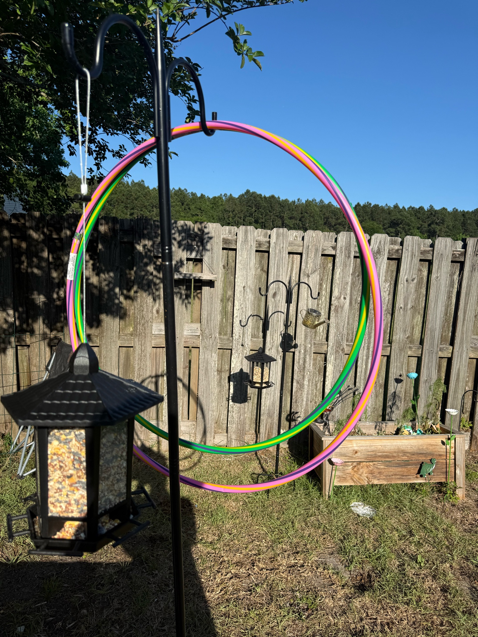 New feeders for my birdies! 

Bird feeder. Bird watching. Backyard  