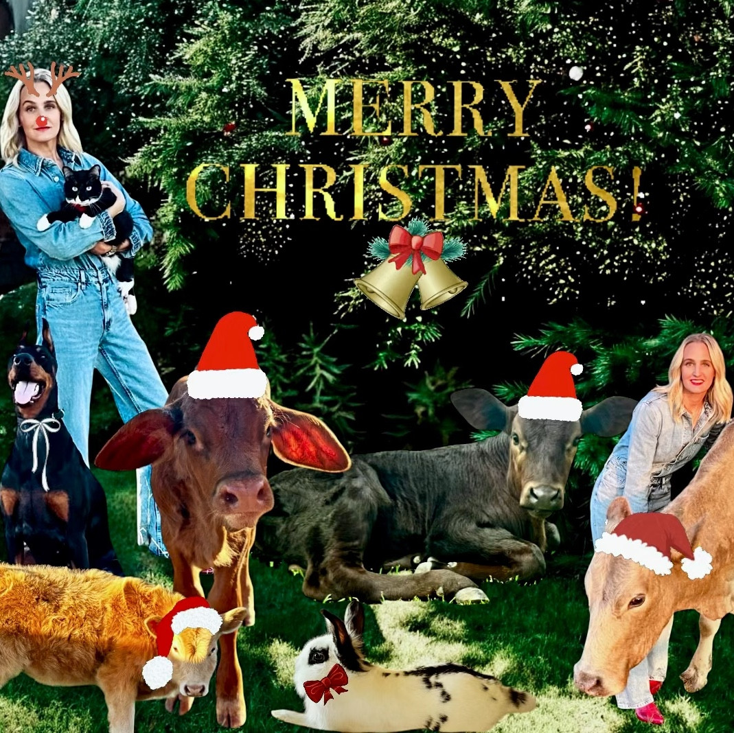 Farm Animals deserve a little something special for the holidays  Check out my gift guide for farm animals in your life. Support your local farm and ranch store first! 

#LTKSaleAlert #LTKGiftGuide #LTKHoliday