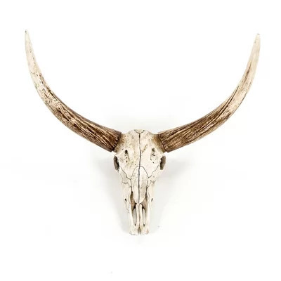 Bull Skull Wall Décor | Wayfair North America