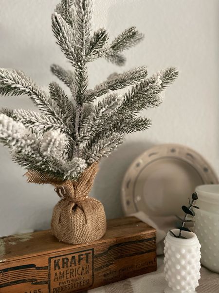 Flocked trees are the perfect decor item to use for Winter decorating! They are full of green texture yet nod to the season at hand. 

#LTKfindsunder50 #LTKhome #LTKSeasonal