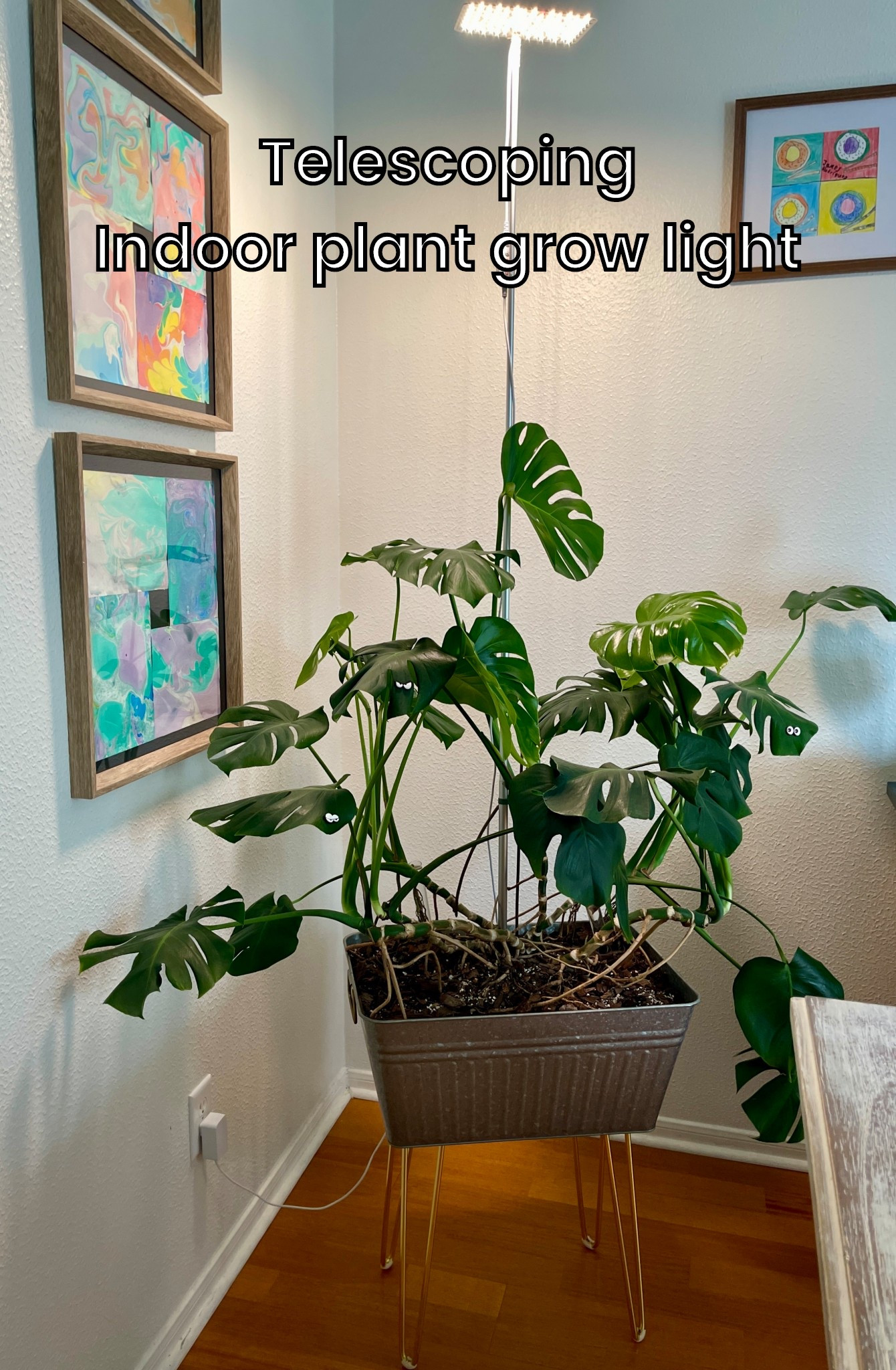 Indoor grow light - Keep plants healthy even in low light environments by using a plant grow light that can be staked into the planter pot. It is ideal for all size plants, I have it at the tallest height with my giant pot.  

It has a timer and you can set it to come on for 3, 6, or 12 hours. There are 3 light settings natural, pink bloom, and a mix. I set mine to turn on around sunset  

#LTKHome #LTKFindsUnder50