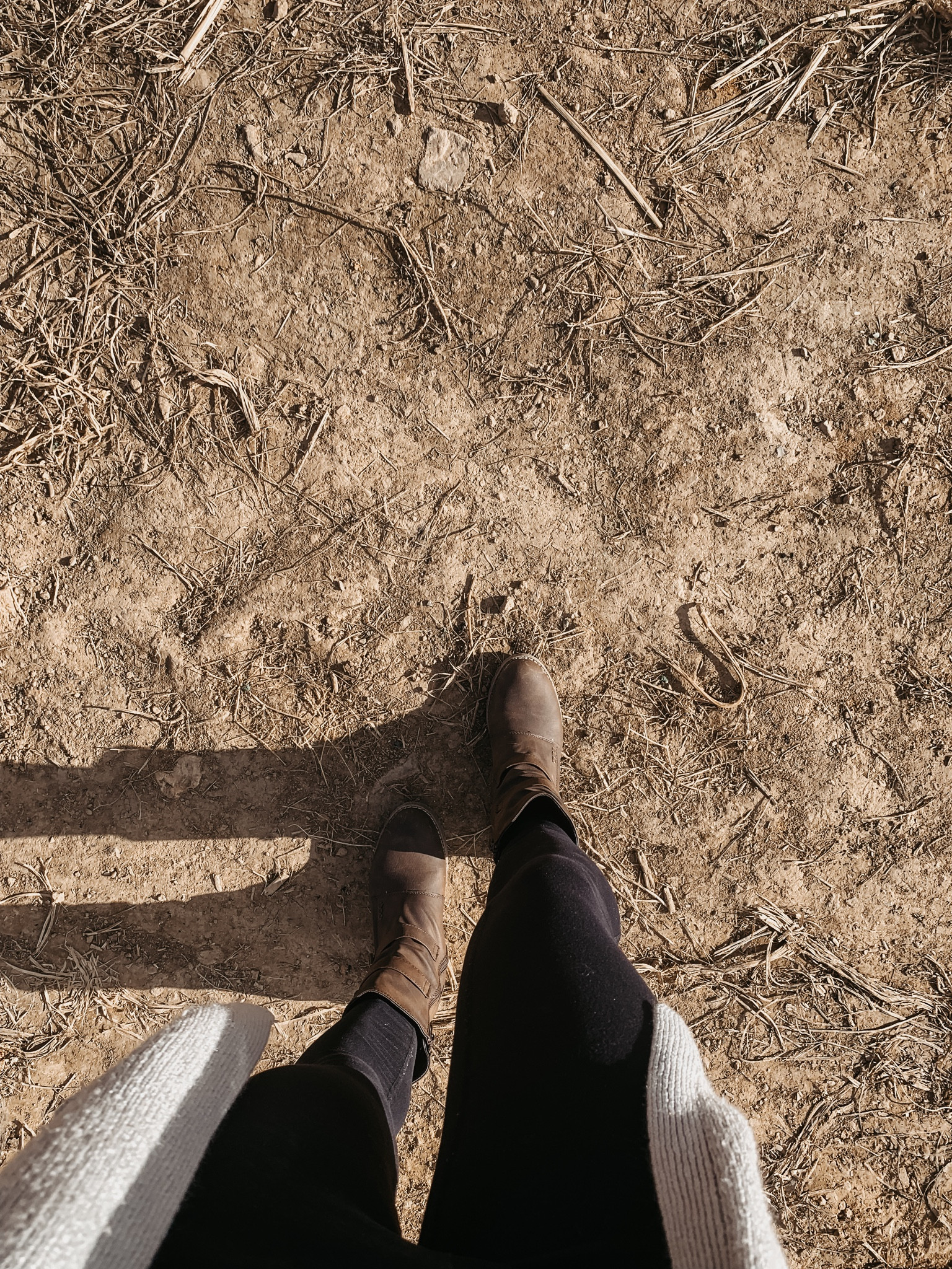 Fall Outfits
Absolute favorite fall boots and the everyday leggings I wear everywhere in the fall 🍂 
Happy Weekend! 
Fall Fashion 

#LTKHoliday #LTKSeasonal #LTKworkwear