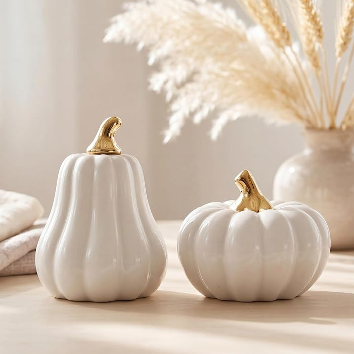Qinyoung 2 Pcs Ceramic Pumpkins for Home Decor Thanksgiving Artificial Pumpkins Figurines Tall an... | Amazon (US)