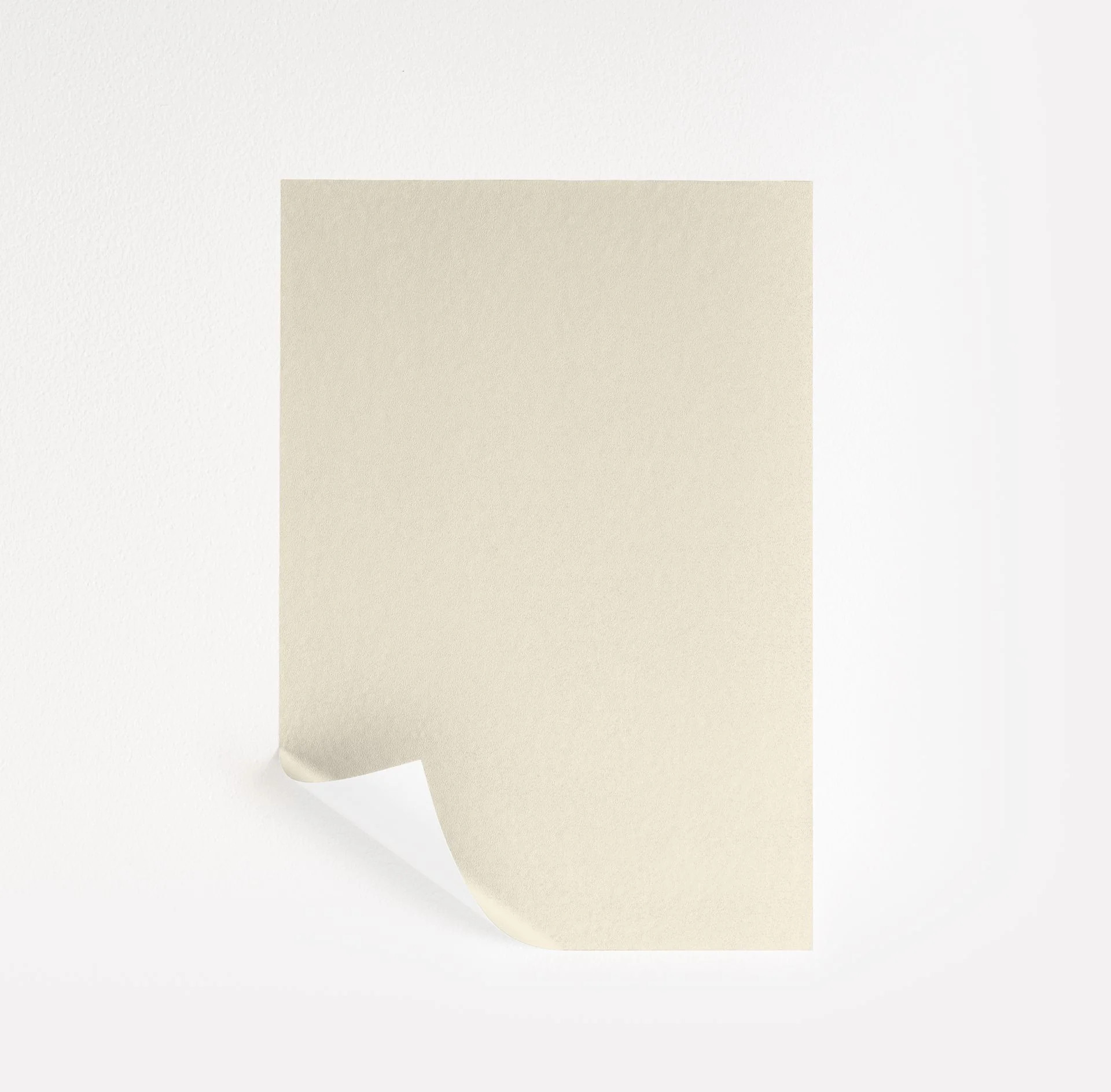 Honied White Paint Sample by Sherwin-Williams (7106) | Peel & Stick Paint Sample | Samplize