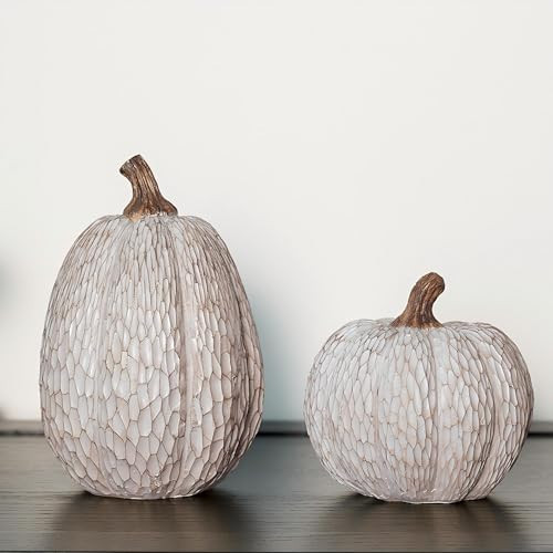 Thanksgiving Resin Pumpkins Fall Decor, Brown and White Decorative Pumpkins Figurine, Artificial Carved Faux Pumpkin Statues for Rustic Fall Tabletop Home Decor, Farmhouse, Autumn, Harvest, Wedding | Amazon (US)