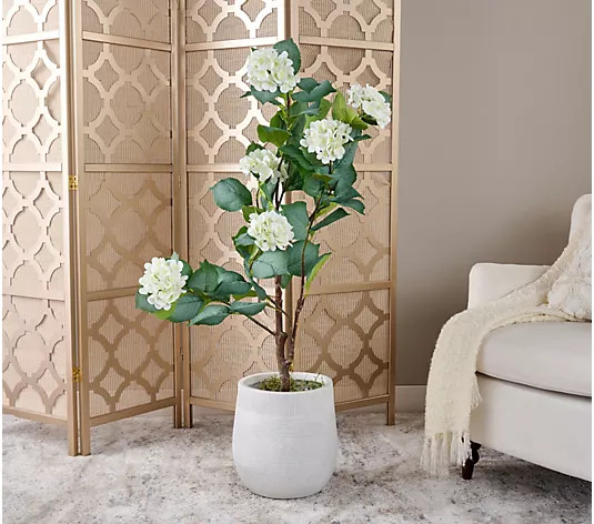 4' Hydrangea Bush in Pot by Valerie | QVC