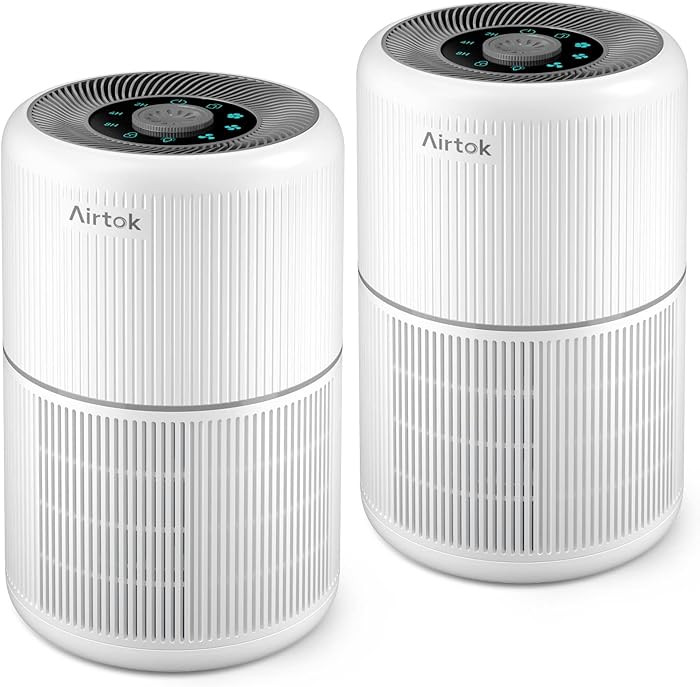 2 Pack Air Purifier for Home Bedroom with H13 True HEPA Filter for Smoke, Smokers, Dust, Odors, P... | Amazon (US)
