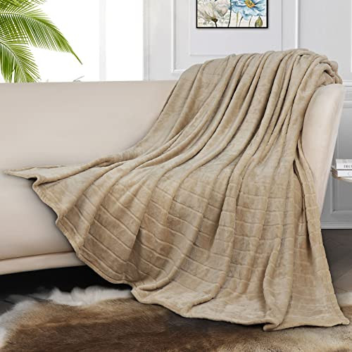 Bertte Plush Throw Blanket Super Soft Fuzzy Warm Blanket | 330 GSM Lightweight Fluffy Cozy Luxury De | Amazon (US)
