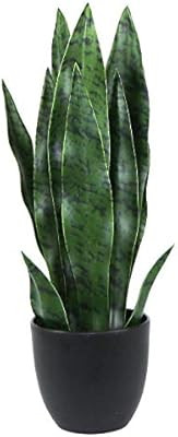 Artificial Plants Sansevieria Snake Mini Plant with Black Plastic Planter Greenery Perfect Faux A... | Amazon (US)