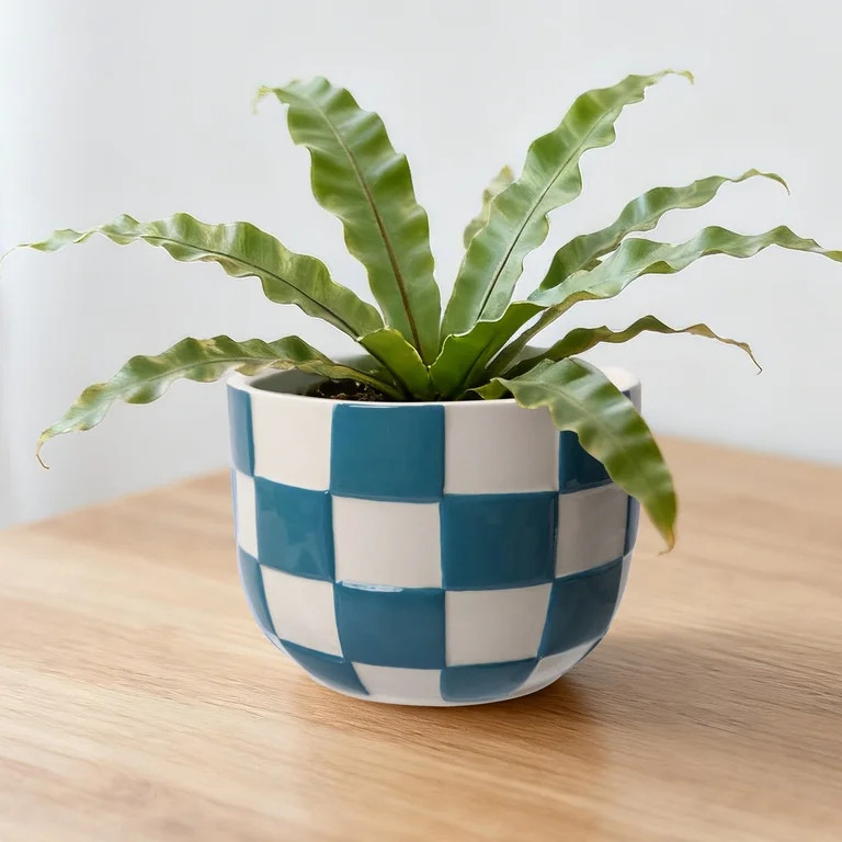 Mainstays Lennon 6" x 6" x 4.5" Round Teal Checkered Ceramic Planter | Walmart (US)