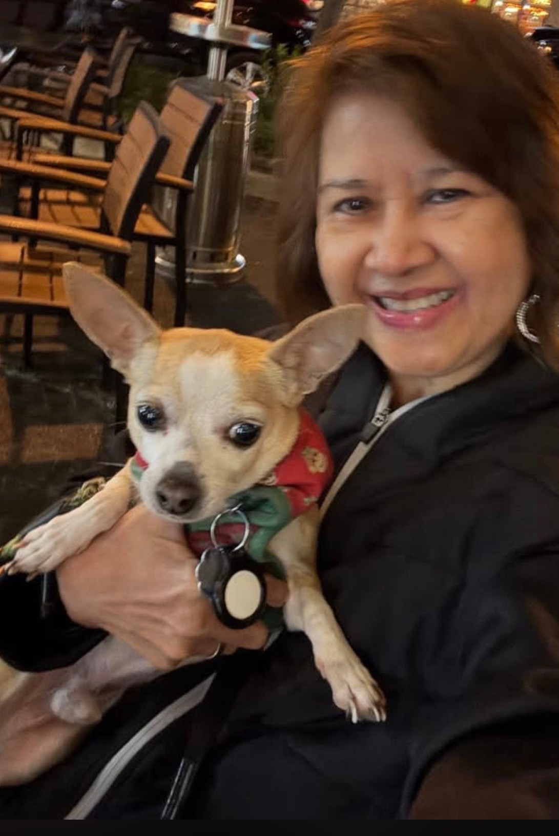 This Apple AirTag saved our little chihuahua. 

#LTKHome #LTKActive #LTKdayinmylife