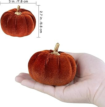 Visit the Winlyn Store | Amazon (US)