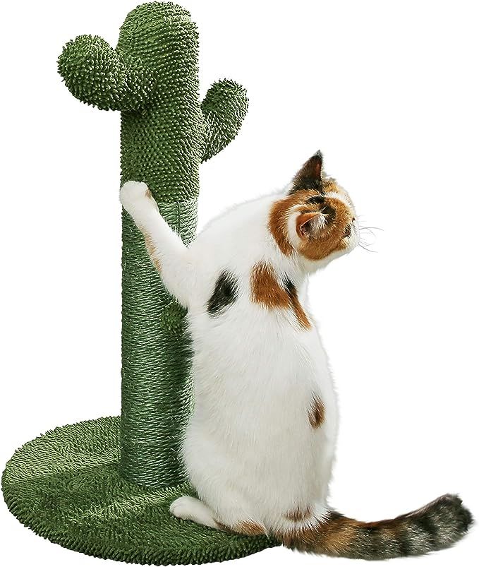 PetnPurr Cat Scratching Post with Teaser Ball: The Cactus Cat Scratcher Your Cat Always Wanted | Amazon (US)