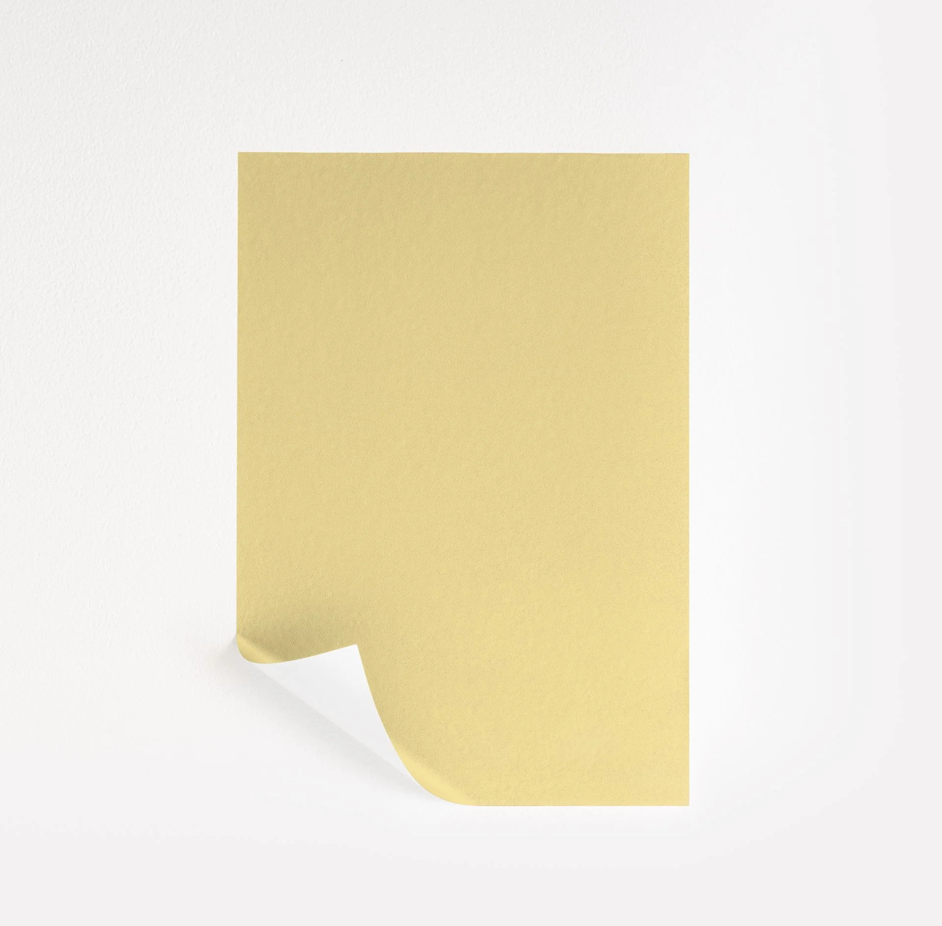 Dayroom Yellow  Paint Sample | Samplize