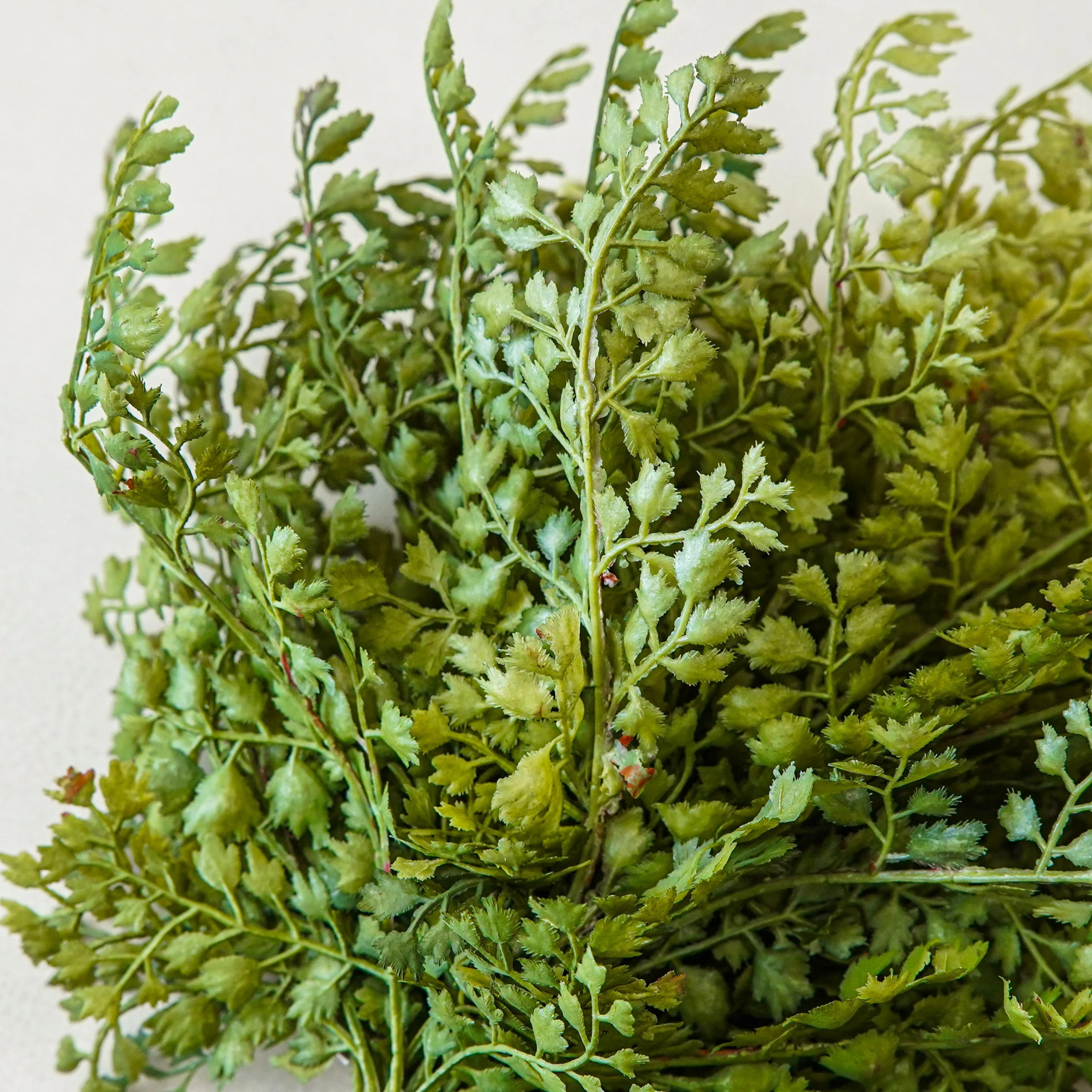 Styled Look: Antique Greenery Statement | MJHome