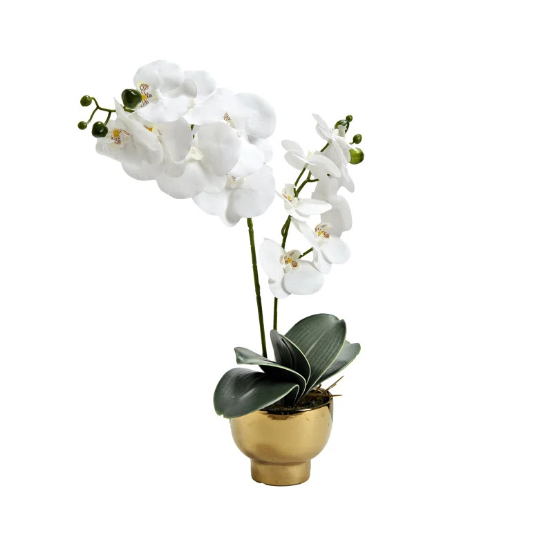 Latitude Run® White Orchids in Gold Pot | Wayfair | Wayfair North America