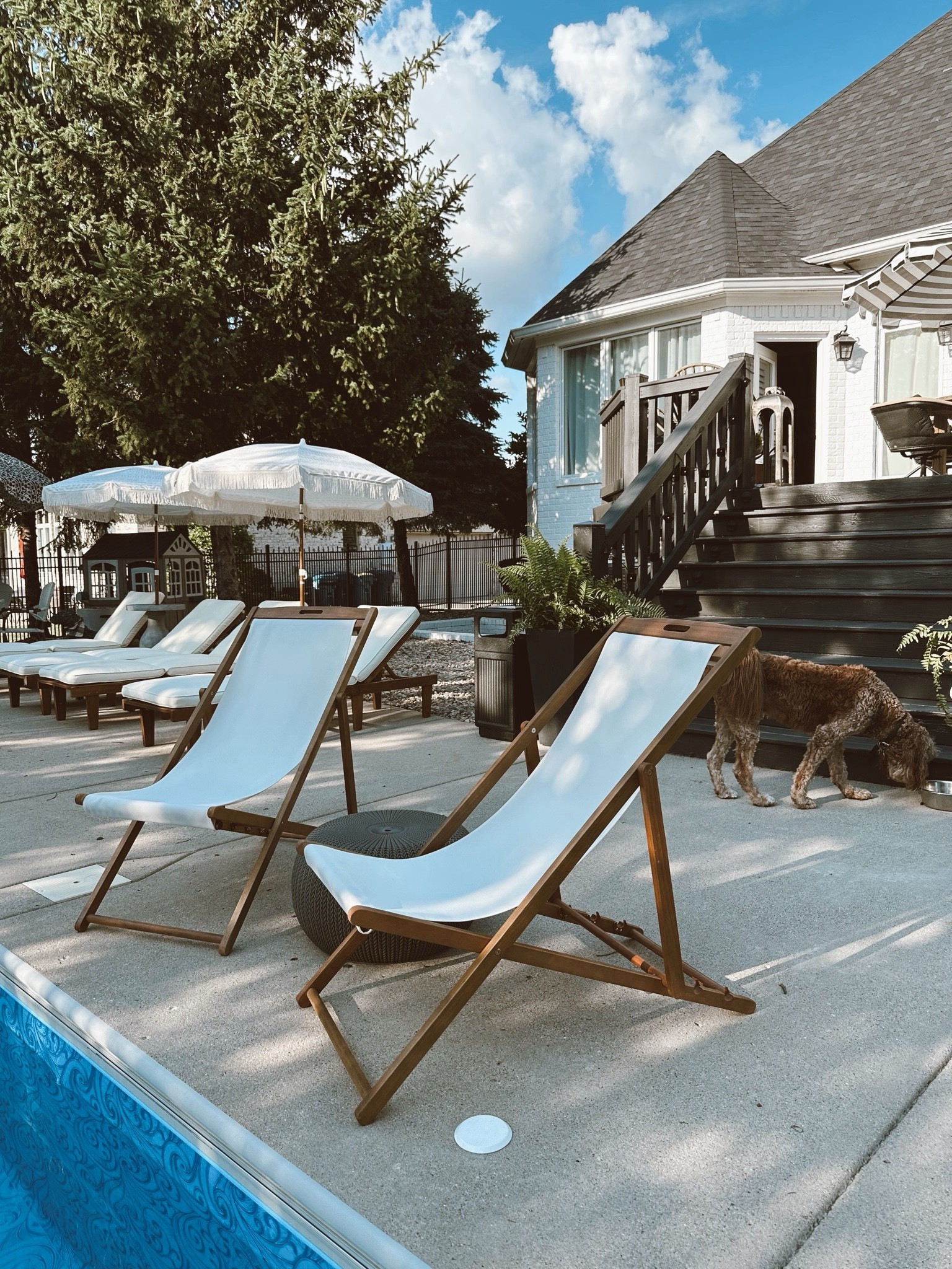 Our favorite chair by the side of our pool 

Summer 
Spring break 
Home decor 
Outdoor decor 
Outdoor furniture 

#LTKhome #LTKfindsunder100 #LTKSeasonal