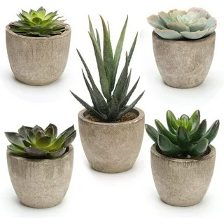 Artificial Succulent Plants, Plutput 5 Fake Succulents Faux Succulent Potted Cactus Cacti Plant with | Walmart (US)