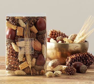 Harvest Spice Scented Potpourri | Pottery Barn (US)