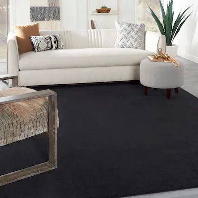 Buy Transitional Area Rugs Online at Overstock | Our Best Rugs Deals | Bed Bath & Beyond